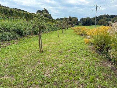 Foto - Garten zu verpachten - 50,00 EUR Kaltmiete, ca.  0,00 m²