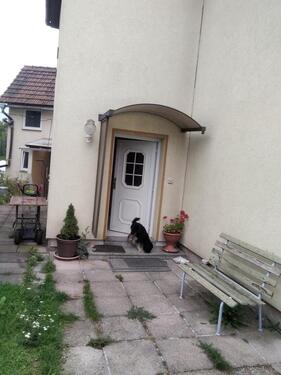 Foto - Einfamilienhaus in Bad Langensalza