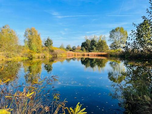 Foto - Grundstück in Jessen (Elster)
