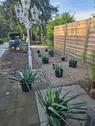 Foto - Altbau-Charme trifft Gartenidylle