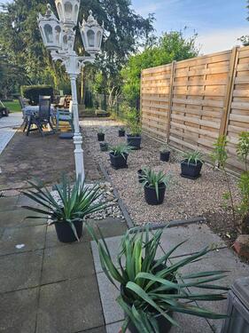 Foto - Altbau-Charme trifft Gartenidylle