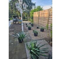 Altbau-Charme trifft Gartenidylle - Dormagen