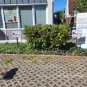 Foto - andere in Nienburg (Weser) zur Miete