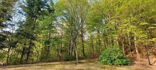 Foto - 3 Zimmer Einfamilienhaus zum Kaufen in Ronshausen