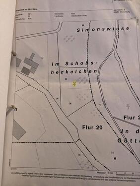 Foto - Waldgrundstück in Hanglage Kaffroth bei Flammersfeld, 2.732 qm