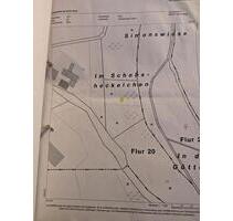 Waldgrundstück in Hanglage Kaffroth bei Flammersfeld, 2.732 qm