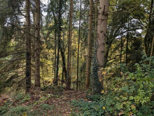 Foto - Grundstück zur Miete in Flammersfeld