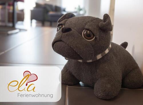 Foto - Ferienwohnung 'Elia' für 4 Personen, Hunde erlaubt, barrierearm