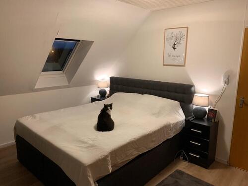 Foto - Dachgeschoßwohnung in Emden zur Miete
