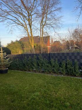 Foto - 2 Zimmer Erdgeschoßwohnung zur Miete in Steinfurt