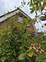 Foto - 3 Zimmer Einfamilienhaus in Scharbeutz