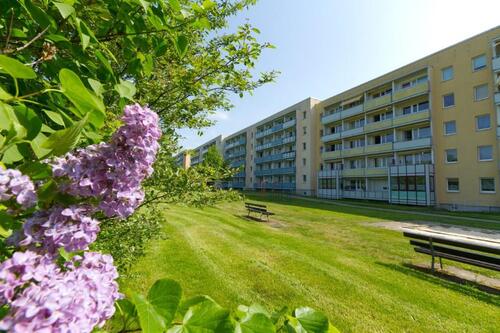 Foto - zentrumsnahe 2-Raumwohnung in Leinefelde