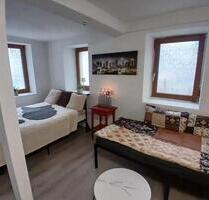 Freies 1 Zi. Apartment zu vermieten - Schönbrunn