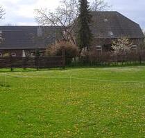 Provisionsfreier sanierter Bauernhof für Pferdehaltung - Goch