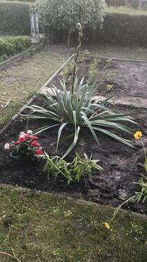 Foto - Grundstück in Bitterfeld-Wolfen