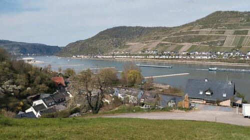 Foto - Freizeitgrundstück mit Rheinblick