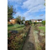 Großer gepflegter KleingartenPachtgarten abzugeben - Chemnitz Helbersdorf