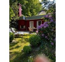 Gemütliches Reetdachhaus auf dem Land - Ritterhude