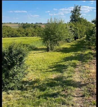 Foto - Grundst&uuml;ck in Ludwigsburg