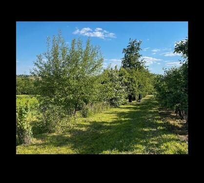 Foto - Grundst&uuml;ck in Ludwigsburg zur Miete