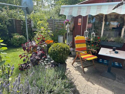 Foto - Garten in Barth 500 qm abzugeben in Kleingartenanlage