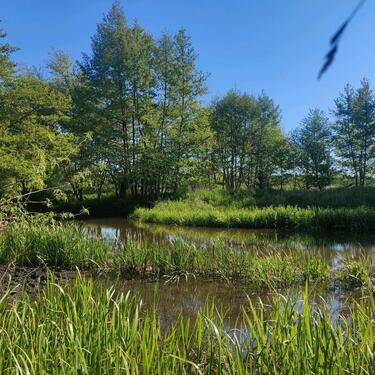 Foto - Wohnung zur Untermiete - 950,00 EUR Kaltmiete,