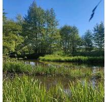 Wohnung zur Untermiete - 950,00 EUR Kaltmiete, in Ottersberg (PLZ: 28870)