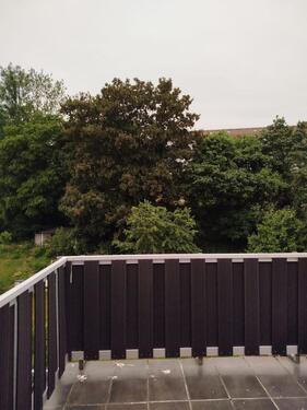 Foto - 2 Zimmer Dachgeschoßwohnung zur Miete in Lüdenscheid