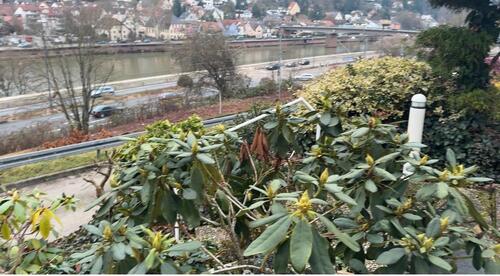 Foto - Mietwohnung - 700,00&nbsp;EUR Kaltmiete, ca.&nbsp; 56,00&nbsp;m&sup2;