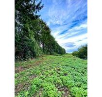 Gartengrundstück - 55,00&nbsp;EUR Kaltmiete, ca.&nbsp; 0,00&nbsp;m&sup2; in Lahr (Schwarzwald) (PLZ: 77933)