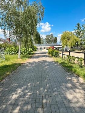 Foto - Wohnung Reiterhof Pferd - 1.100,00 EUR Kaltmiete,