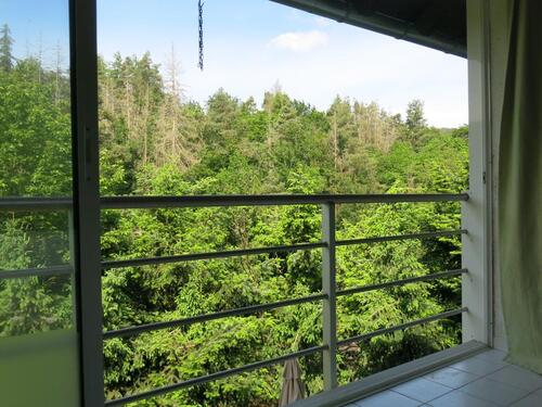 Foto - Einfamilienhaus in Edertal zum Kaufen