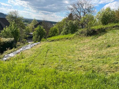 Foto - Gemüse und Beeren Stückle - 50,00&nbsp;EUR Kaltmiete, ca.&nbsp; 0,00&nbsp;m&sup2;