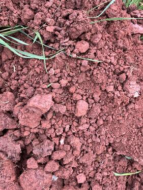 Foto - Grundst&uuml;ck in Schorndorf zur Miete