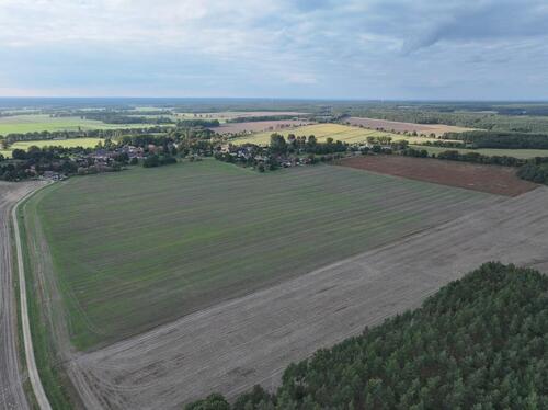 Foto - andere zum Kaufen in Calau