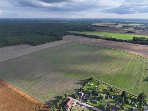 Foto - andere in Calau