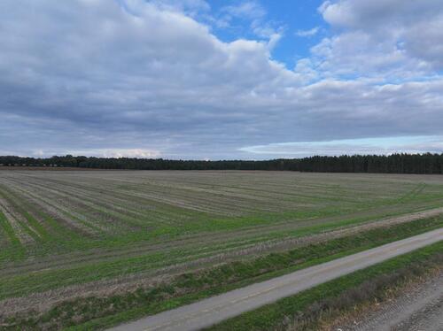Foto - andere in Calau zum Kaufen