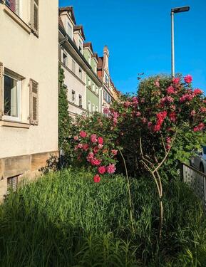 Foto - Dreizimmerwohnung nähe Feki - 800,00&nbsp;EUR Kaltmiete, ca.&nbsp; 73,00&nbsp;m&sup2;