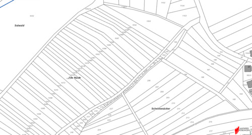 Foto - Baumwiese mit Obstbäumen und Kompost