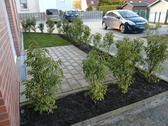 Foto - 