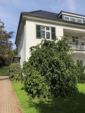 Foto - 3 Zimmer Erdgeschoßwohnung zur Miete in Hamburg