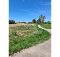 Grunstück Ackerfläche Acker - 3,00&nbsp;EUR Kaltmiete, ca.&nbsp; 0,00&nbsp;m&sup2; in Bühl (PLZ: 77815)