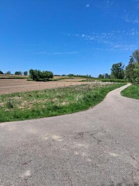 Foto - Grundst&uuml;ck zur Miete in Bühl