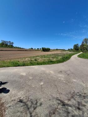 Foto - Grundst&uuml;ck in Bühl zur Miete