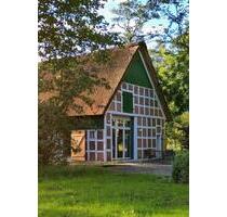 traumhaft schönes Reetdach Ferienhaus - Ihlienworth