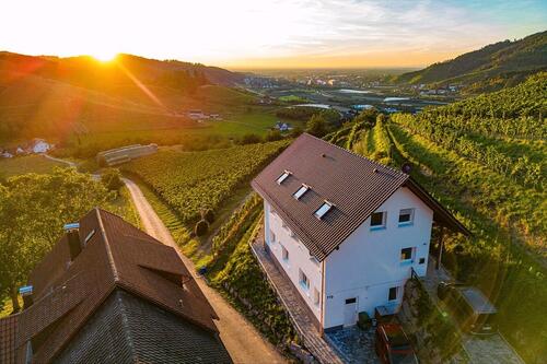 Foto - Ferienwohnung im Schwarzwald, tolle Aussicht, Hunde erlaubt