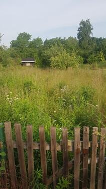 Foto - Gartengrundstück Kleingarten Schrebergarten in 39435 Egeln
