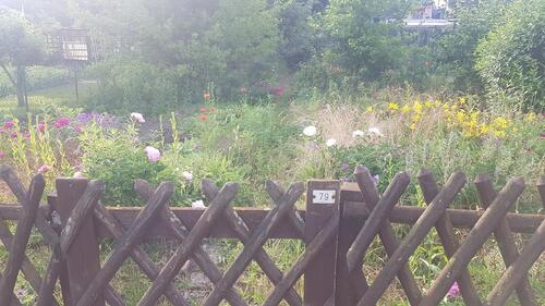 Foto - Grundst&uuml;ck in Magdeburg