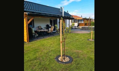 Foto - 3 Zimmer Einfamilienhaus zum Kaufen in Wolfsburg