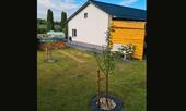 Foto - Einfamilienhaus in Wolfsburg zum Kaufen
